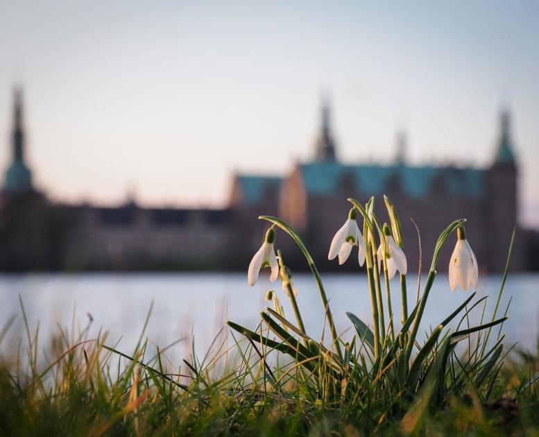 Frederiksborg Slot